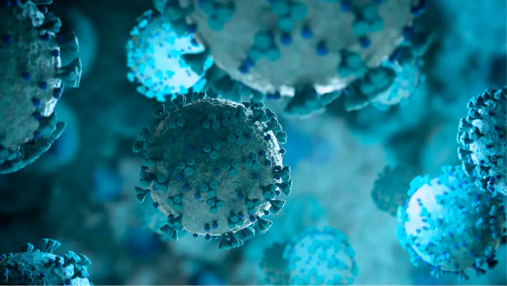 Immune profiling across respiratory infections