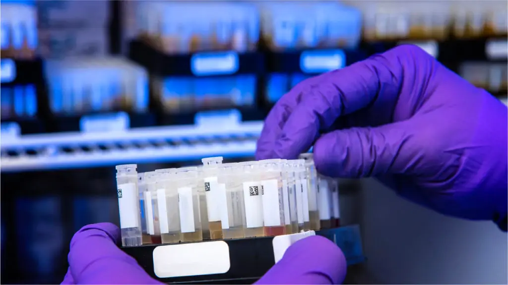 Going beneath the surface of skin cancer.