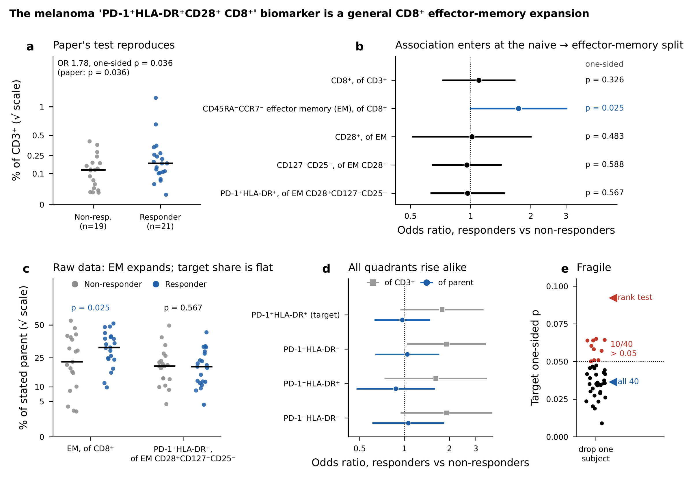 Melanoma, unstimulated pembrolizumab samples. (a) The paper's test reproduces: odds ratio 1.78, one-sided p = 0.036, the published value. (b) The association enters at the naive-to-effector-memory split; every later gating step has an odds ratio near 1 against its parent. (c) Raw data: effector memory expands in responders, while the PD-1⁺HLA-DR⁺ share of its parent is flat. (d) All four PD-1 × HLA-DR quadrants rise alike as a share of CD3⁺ T cells, and none differs as a share of its parent. (e) Removing any one of 10 of the 40 patients pushes the one-sided p-value above 0.05; a rank test gives 0.092.