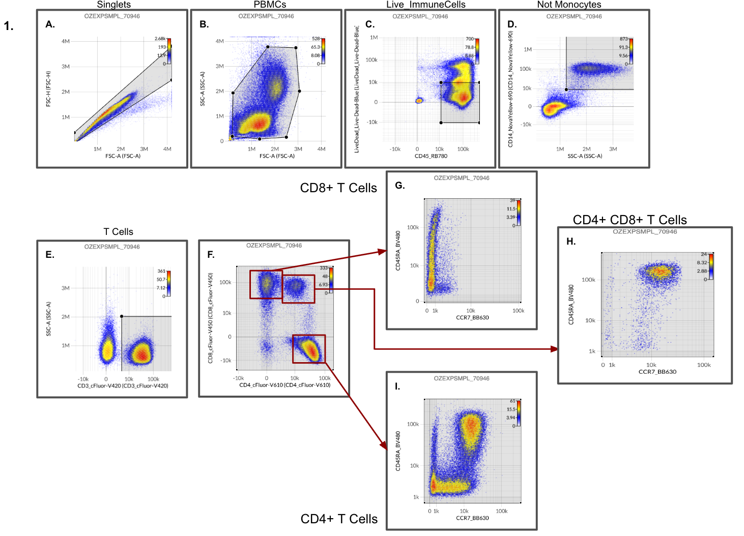 A T cell gating path with total T cells gated as CD3+