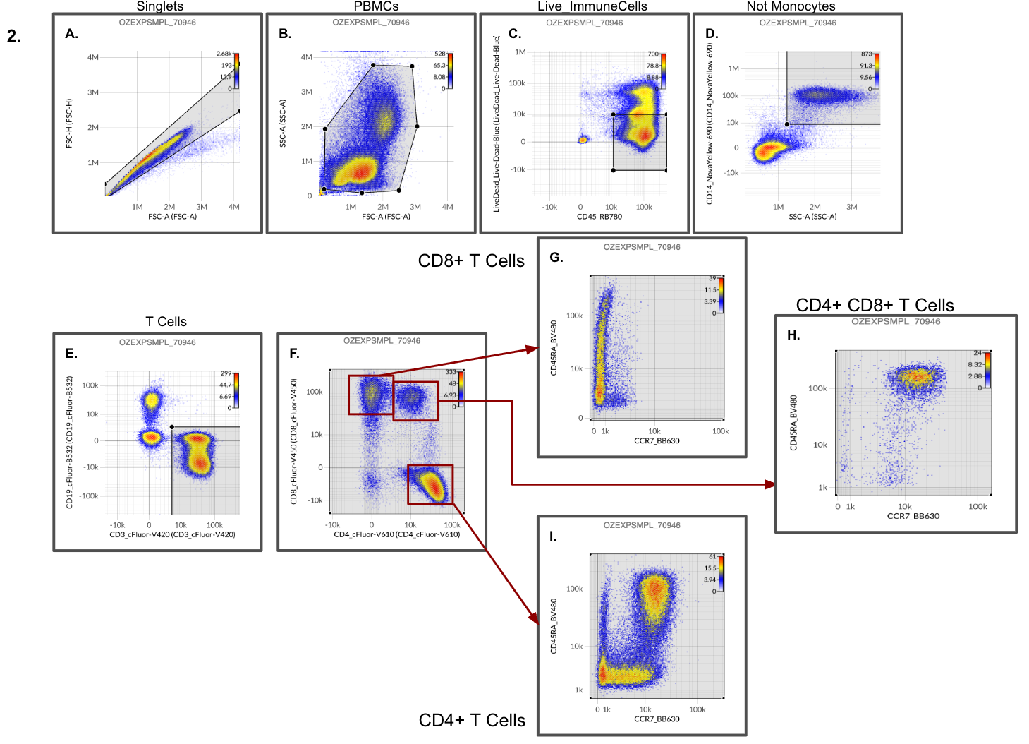 A T cell gating path with total T cells gated as CD19- CD3+