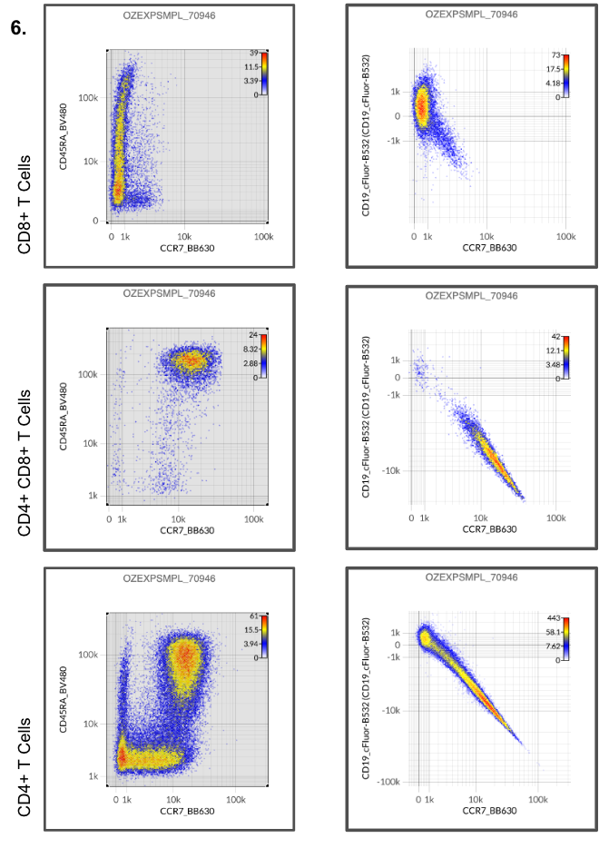 Co-expression pattern of T cell subsets