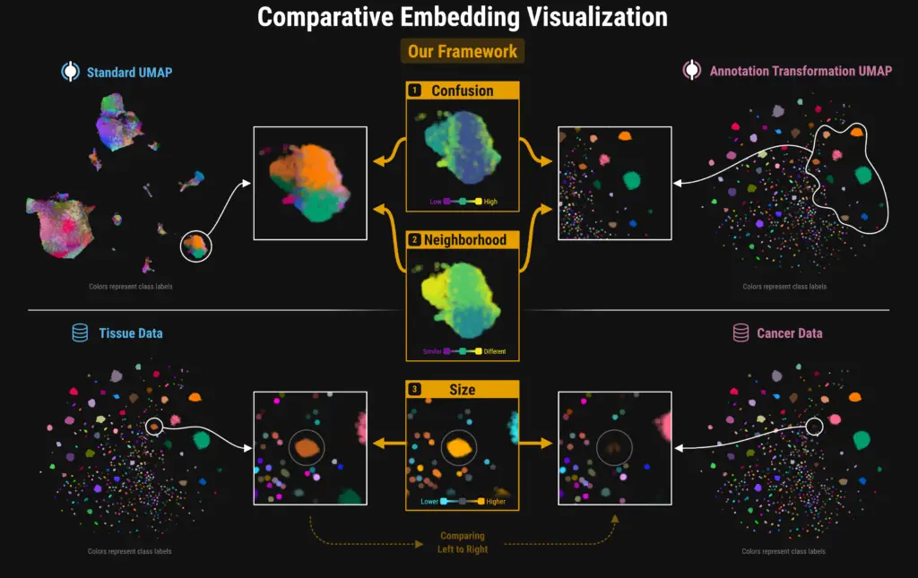 A General Framework for Comparing Embedding Visualizations Across Class-Label Hierarchies