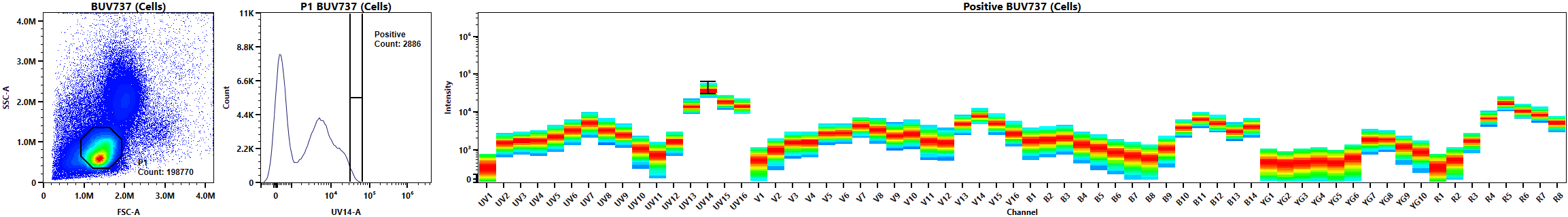 Figure 1: Single-stain control for BUV737 in conventional workflow