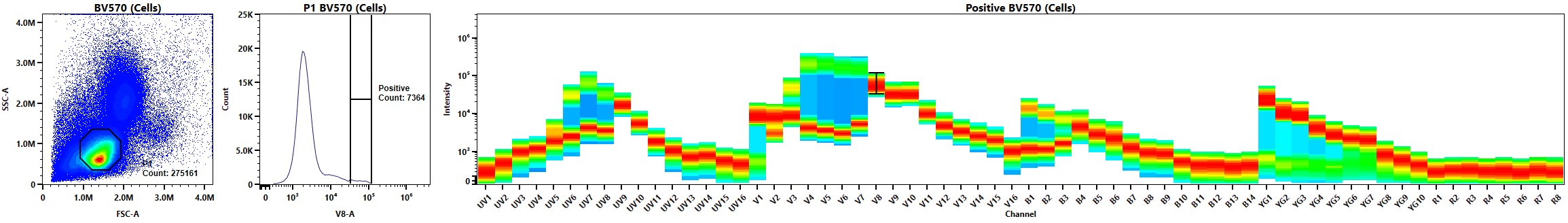 Figure 2: Single-stain control for BV570 in conventional workflow